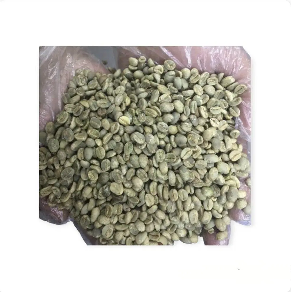 قهوة غمدان الخضراء